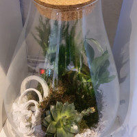 fleuriste saint-etienne-du-gres-fleurs mariage alpilles-decorations florales saint remy de provence-decorations evenements maillane-fleurs deuil fontvieille-bouquets de fleurs maussane