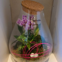 fleuriste saint-etienne-du-gres-fleurs mariage alpilles-decorations florales saint remy de provence-decorations evenements maillane-fleurs deuil fontvieille-bouquets de fleurs maussane