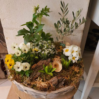 fleuriste saint-etienne-du-gres-fleurs mariage alpilles-decorations florales saint remy de provence-decorations evenements maillane-fleurs deuil fontvieille-bouquets de fleurs maussane