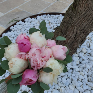 fleuriste saint-etienne-du-gres-fleurs mariage alpilles-decorations florales saint remy de provence-decorations evenements maillane-fleurs deuil fontvieille-bouquets de fleurs maussane